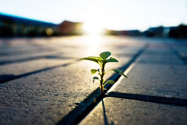 Overcoming Obstacles